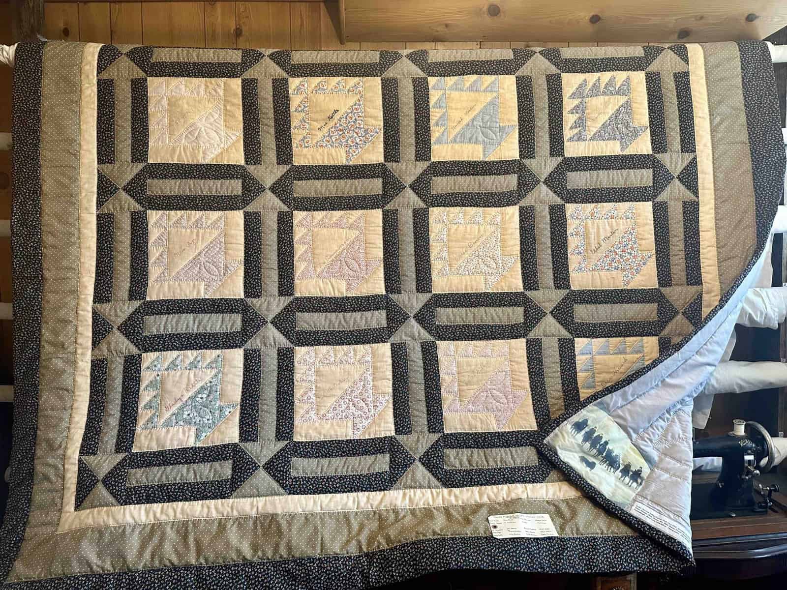 dragonfly creative antique quilt class