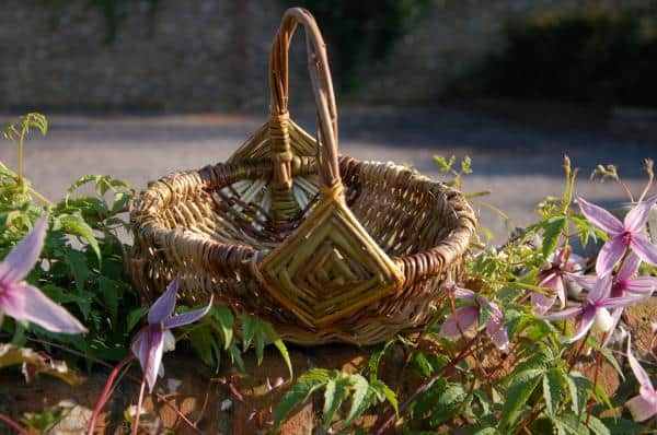 Frame Basket made out of willow surrounded by flowers